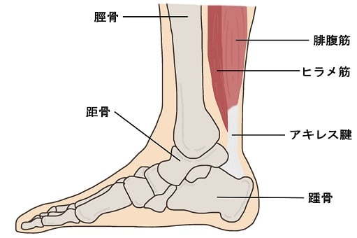 足,イメージ