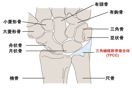 三角線維軟骨複合体,イメージ